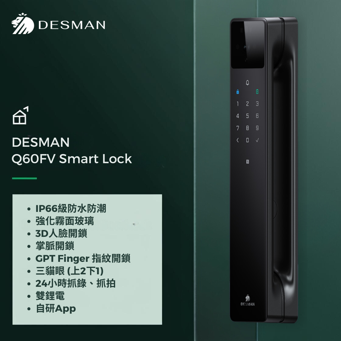 DESMAN Q60FV 電子門鎖 (連安裝)