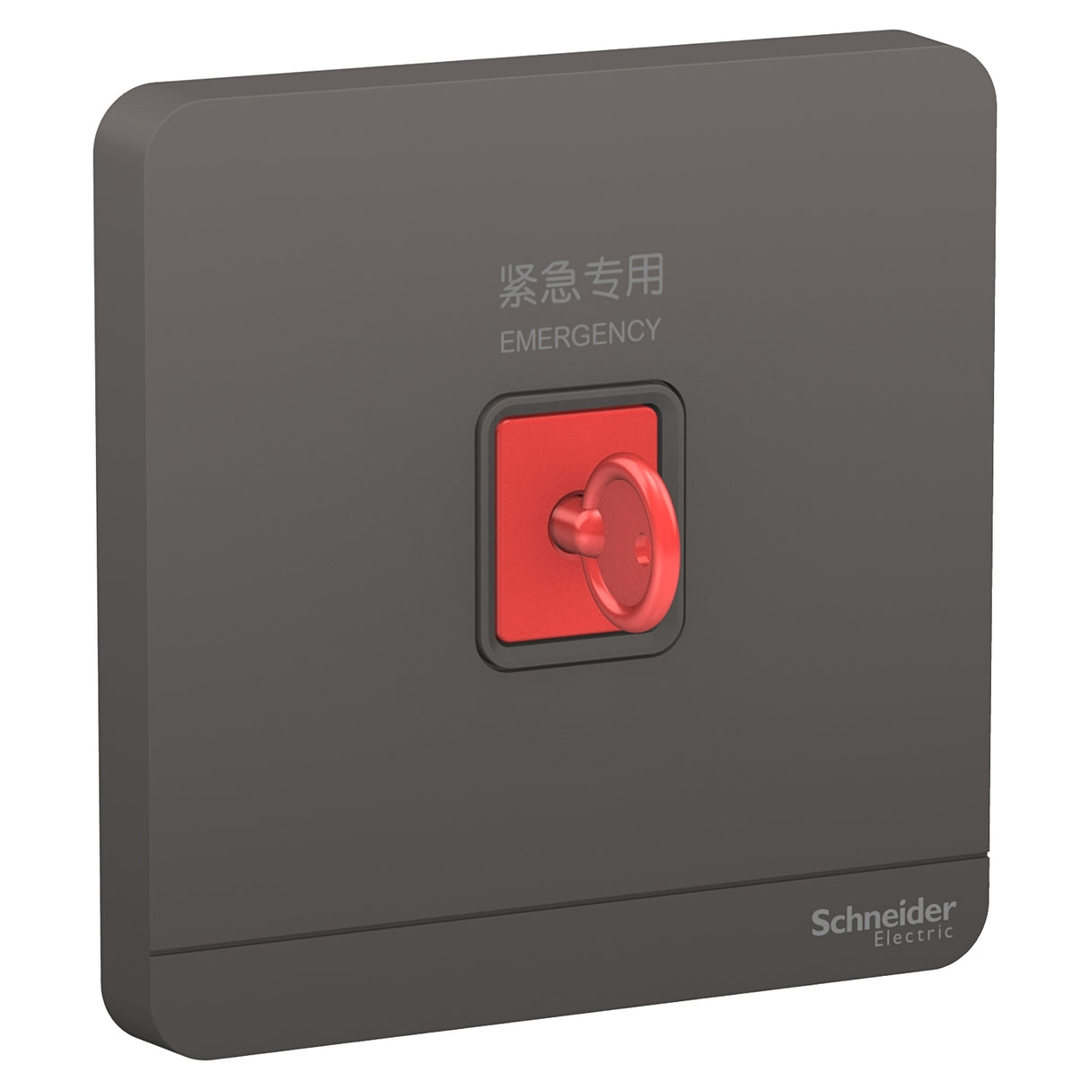 Schneider 施耐德 E8331KPB_DG_C5 緊急按鈕連鎖匙復位鍵 (石墨灰)-hong-kong