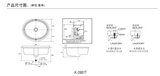 KOHLER K-2881T-0 VERTICYL 橢圓形台下式浴室面盆19"-hong-kong