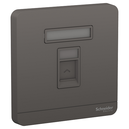Schneider 施耐德 – 單位RJ45八線5e類數據插座,Keystone面板備防塵活門 E8331RJS5_DG_C5-hong-kong