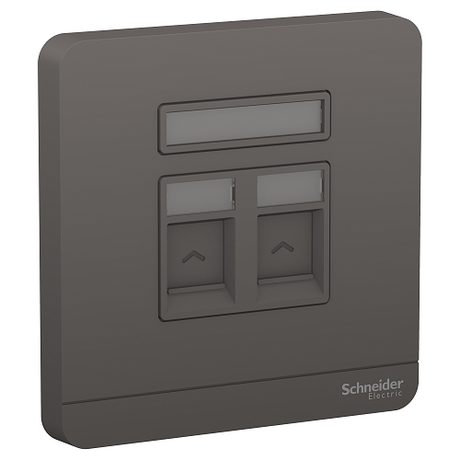 Schneider 施耐德 – 兩位RJ45八線5e類數據插座,Keystone面板備防塵活門 E8332RJS5_DG_C5-hong-kong