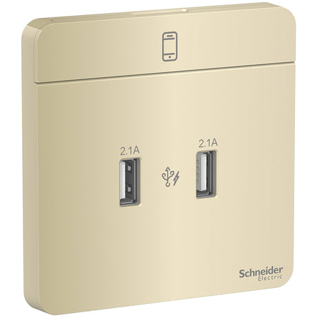 Schneider 施耐德 E8332USB_WG_C5 兩位2.1A USB充電插座-hong-kong