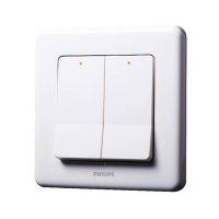 Philips Switches 16AX 兩位單控開關掣 (白色) ORI2G1WSW-hong-kong