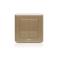 Philips Switches 16AX兩位雙控開關掣,COCO (可可色) ORI2G2WSWCC-hong-kong